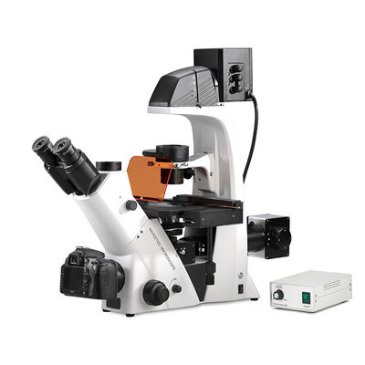 Porcellana Trinocular ha invertito il microscopio biologico di contrasto di fase della fluorescenza di Epi del microscopio biologico fornitore