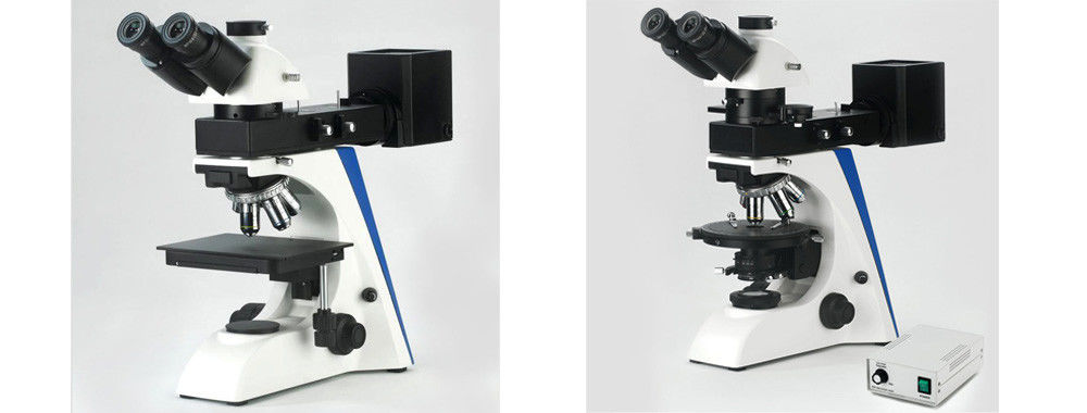 Porcellana il la cosa migliore Microscopio biologico invertito sulle vendite