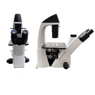 Porcellana 100 - microscopio biologico Trinocular invertito sistema ottico di 400X LED fornitore
